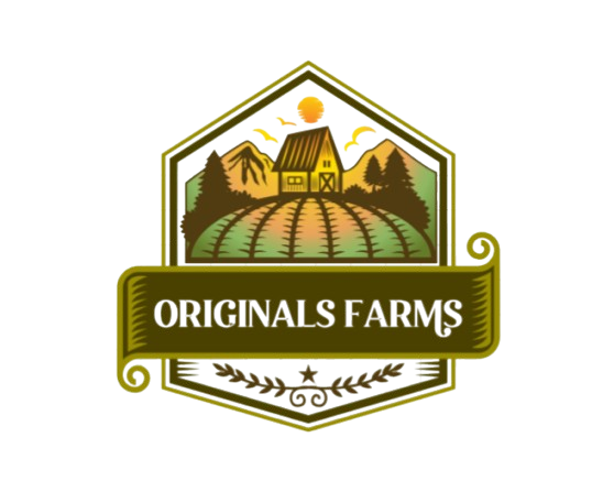 image-removebg-preview (14)